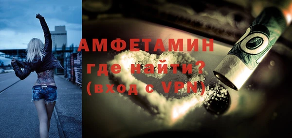 гашик Алексин