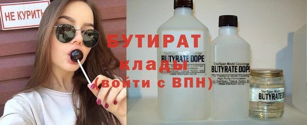 гашик Алексин