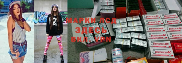 гашик Алексин