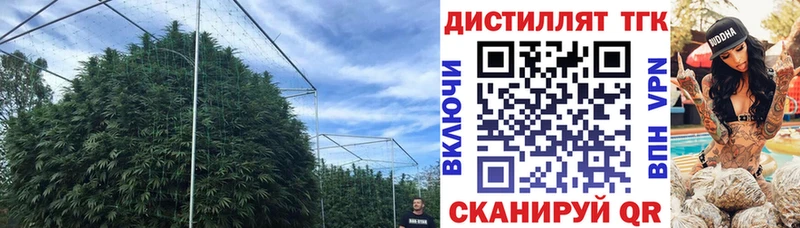 Купить  Санкт-Петербург  ТГК концентрат 