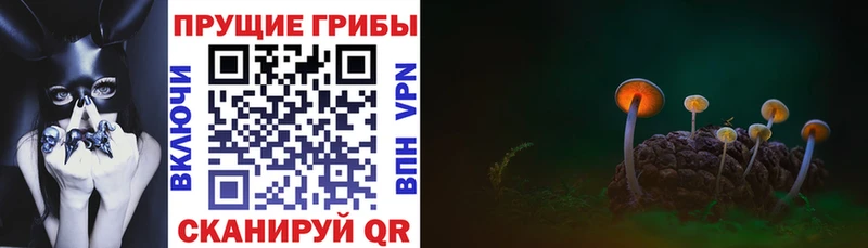 Псилоцибиновые грибы мухоморы  Купить закладки  Санкт-Петербург 
