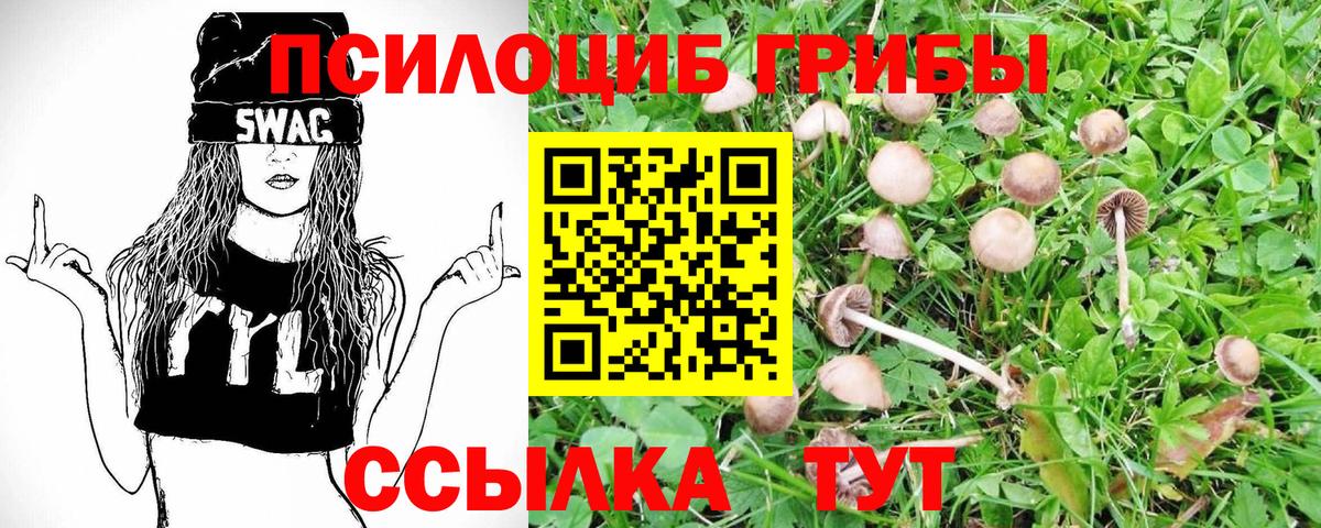 Галлюциногенные грибы мухоморы Санкт-Петербург