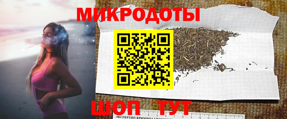 Галлюциногенные грибы Psilocybine cubensis  Вход с VPN  Санкт-Петербург  Псилоцибиновые грибы мицелий 